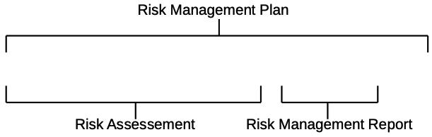 Visual scheme representing process steps for medical device risk management