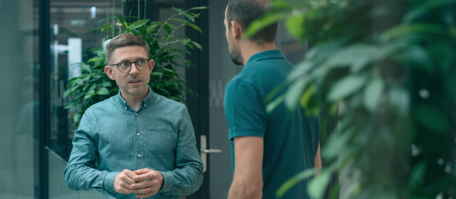 Two men are talking to each other standing. Office with plants.